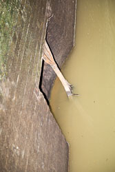 Leicester_Line_[Grand_Union_Canal]-2056.jpg